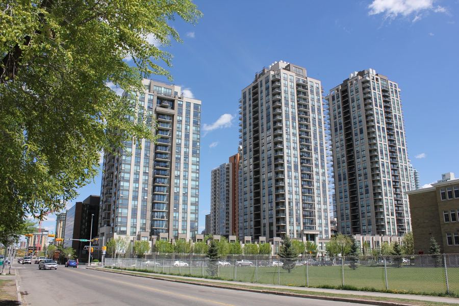 The Stella / Nova / Luna